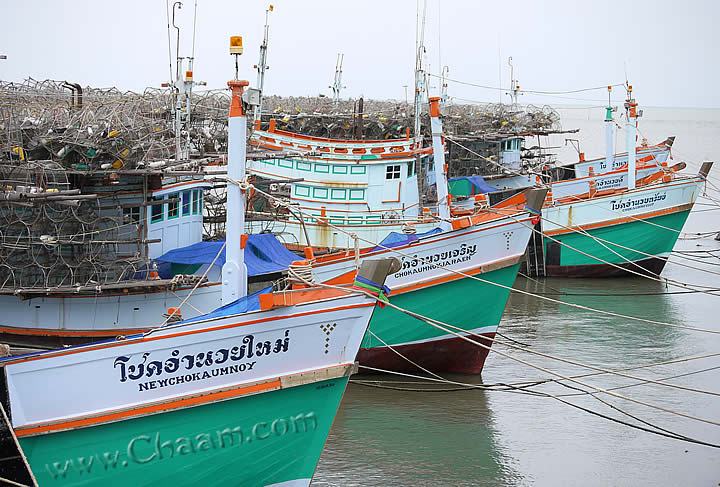 Cha-Am fishing boats for lobster