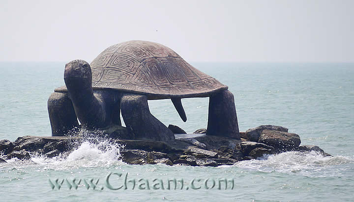 Giant turtle in the Ocean Puek Tian