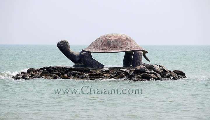 giant turtle on rocky island Puek Tian