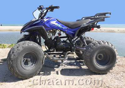 Rent ATV Quad blue