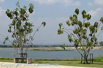 Lake View in Thailand