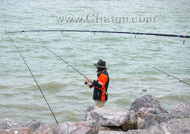 fishing rods in harbor of Cha-Am