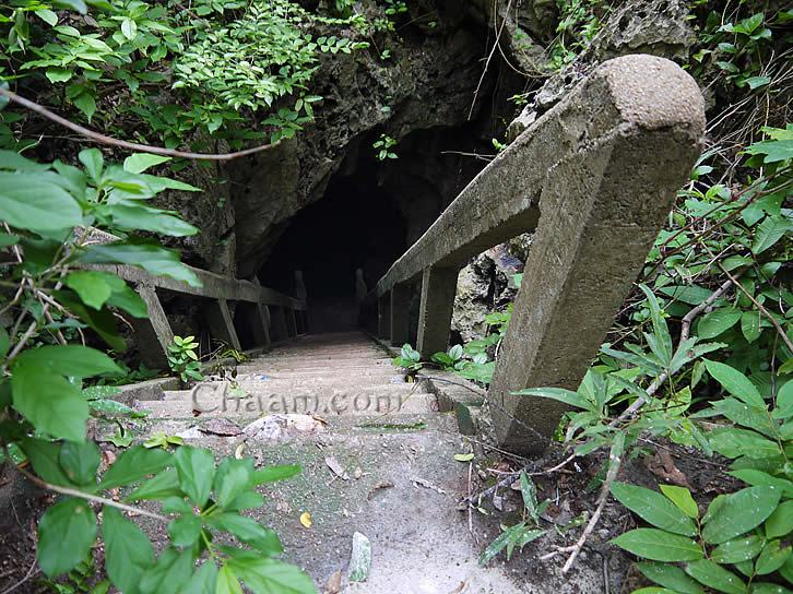 Staircase from joungle in Thailand